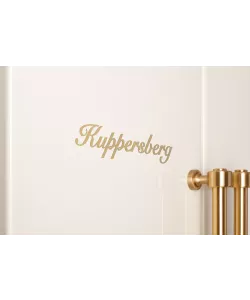 Freestanding refrigerator NSFD 17793 C