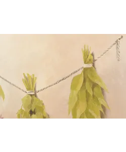 Freestanding refrigerator NFM 200 CG серия Вино