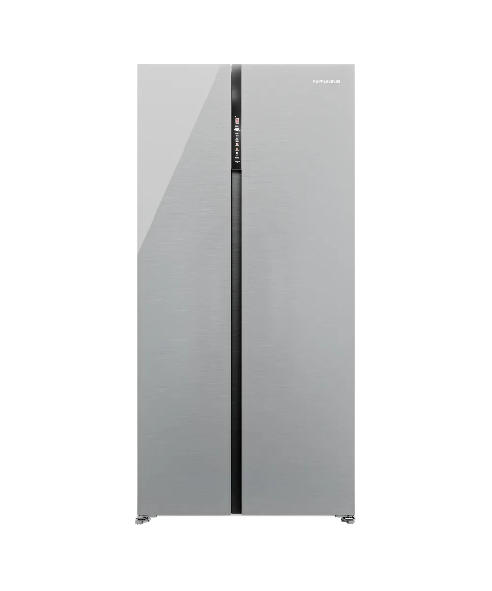 Freestanding refrigerator RFSN 1990 SG