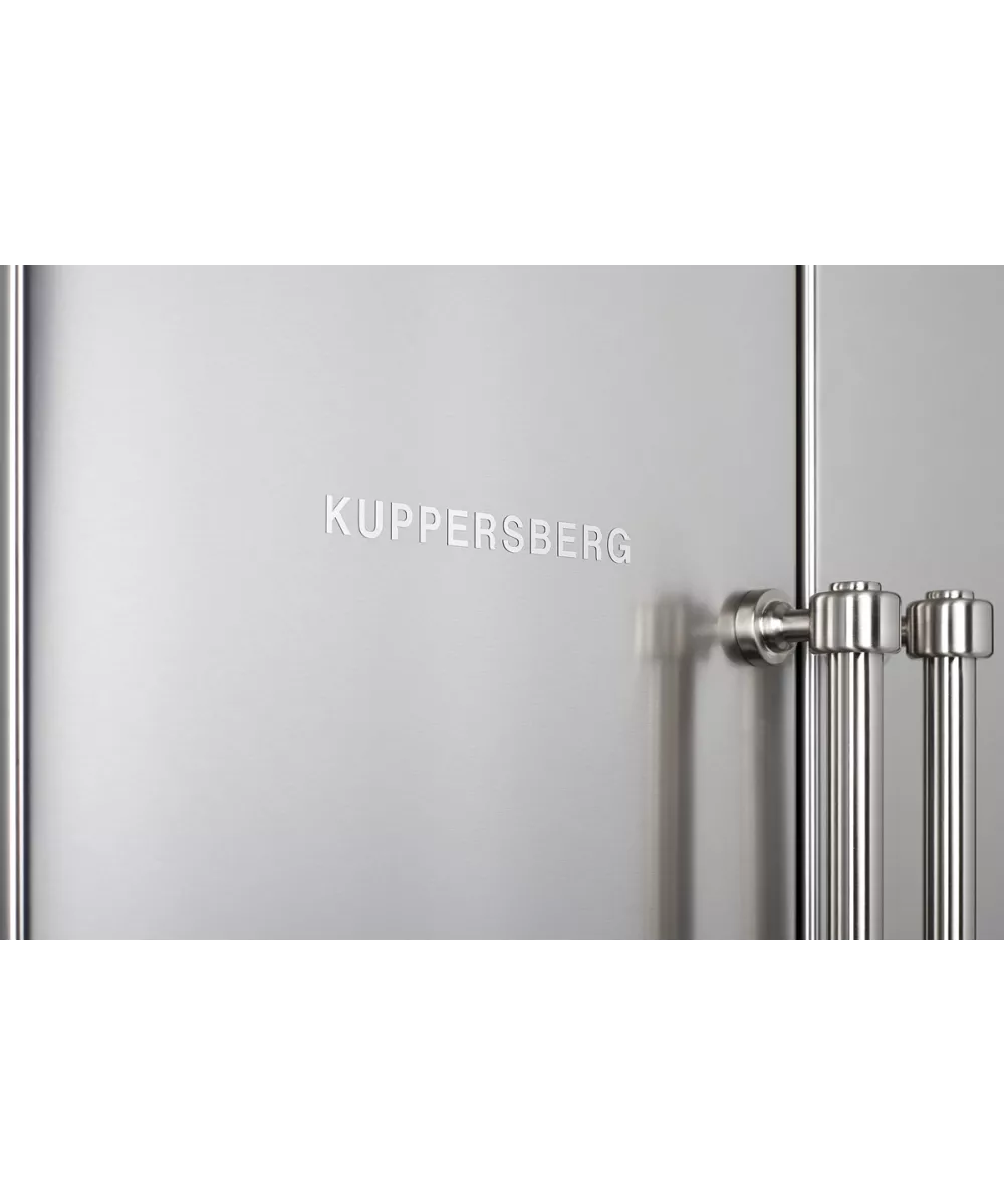 Freestanding refrigerator NSFD 17793 X