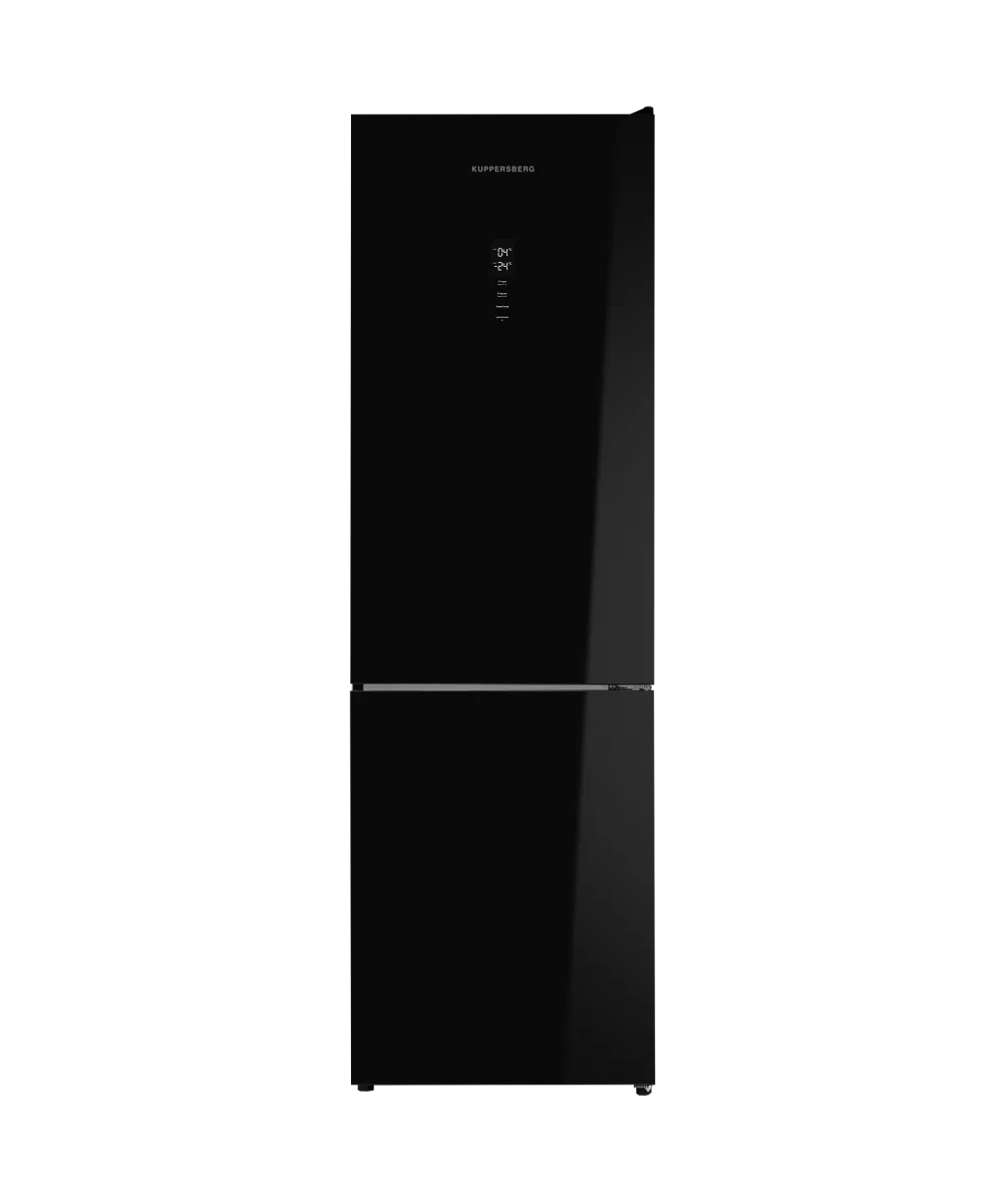 Freestanding refrigerator RFCN 2013 BG