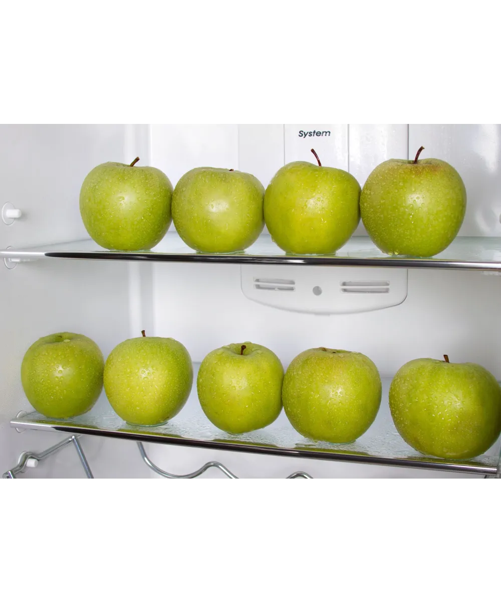 Built-in refrigerator NRB 17761