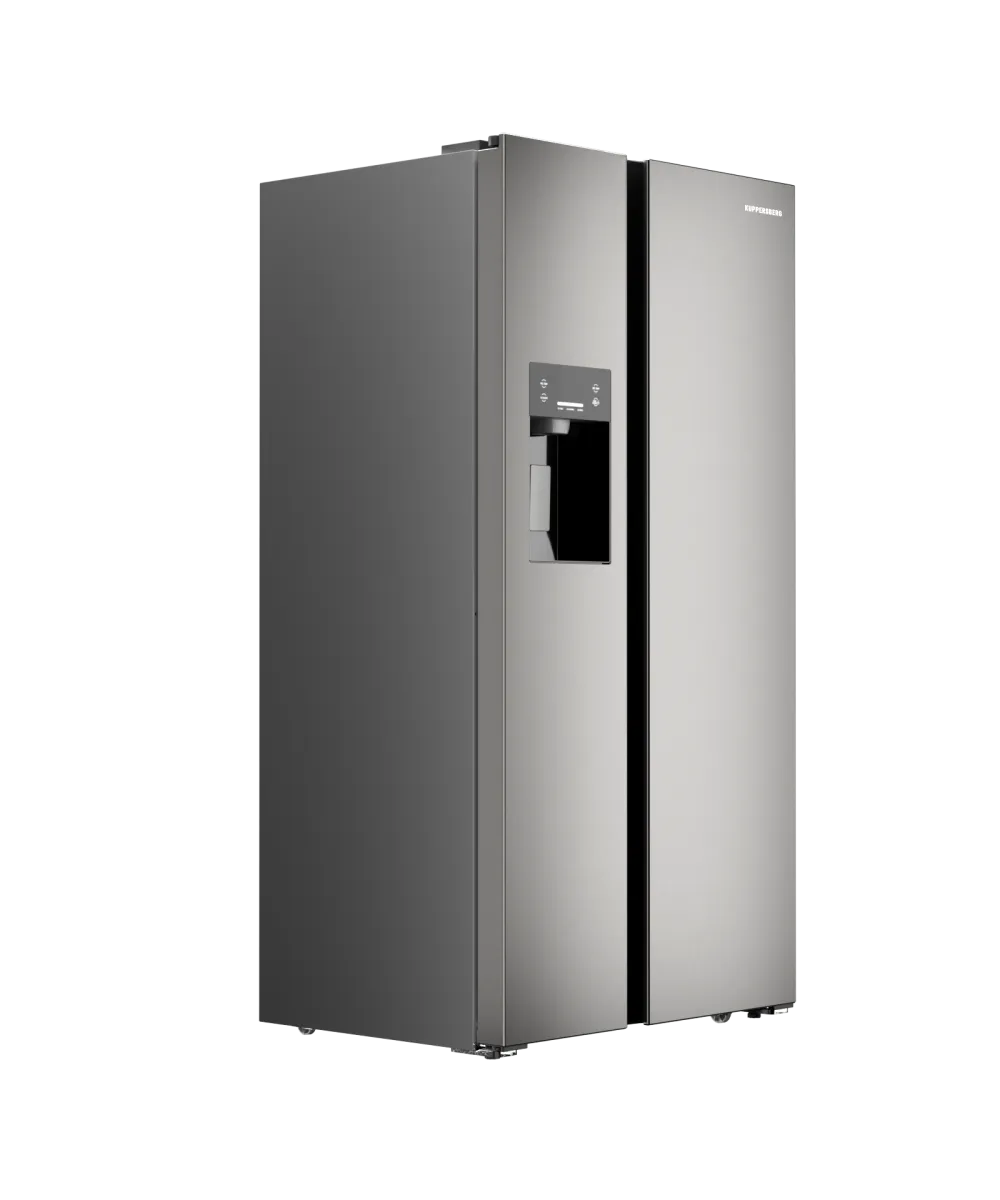 Freestanding refrigerator RFSN 1891 X