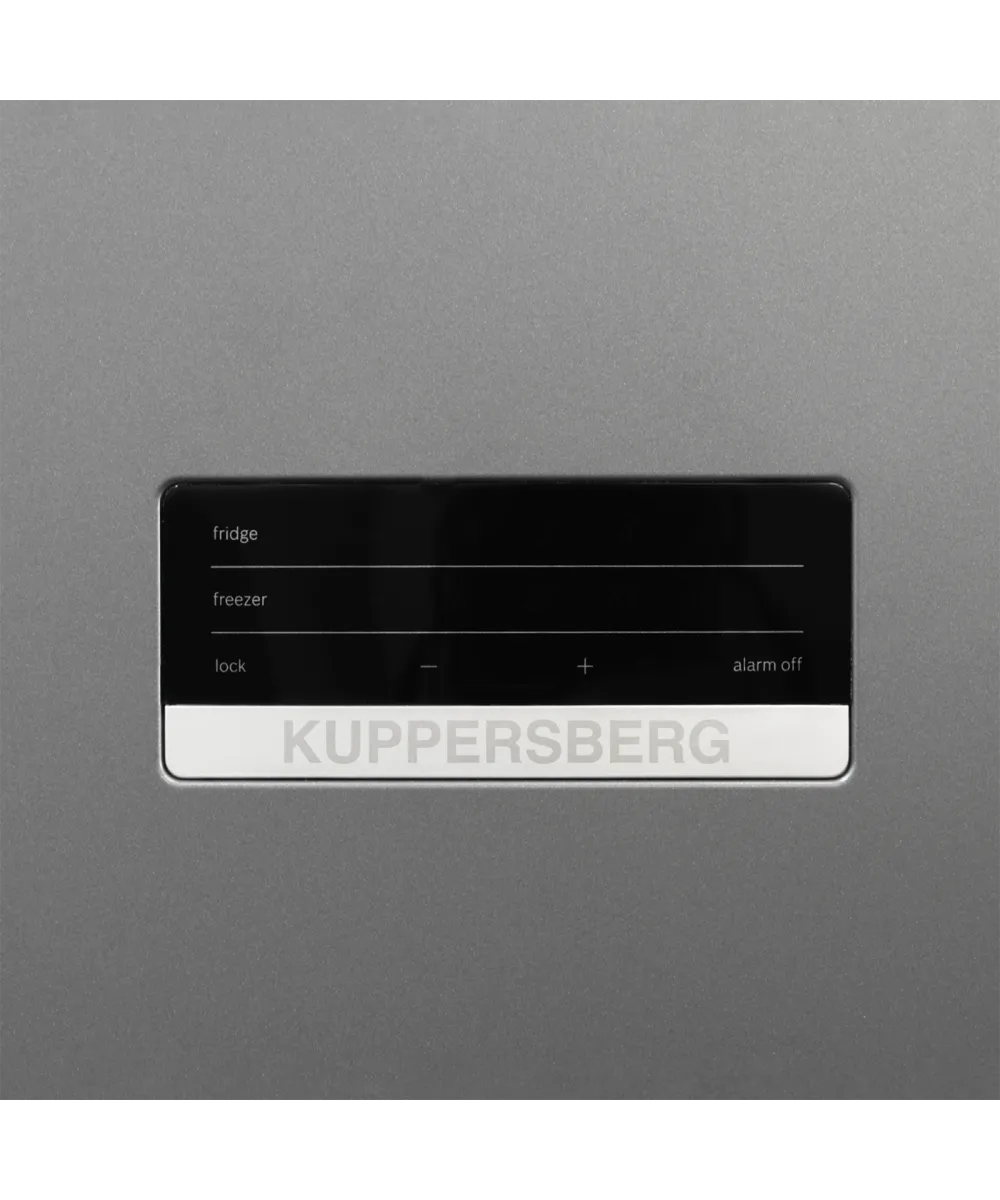 Freestanding refrigerator RFCN 2010 DX