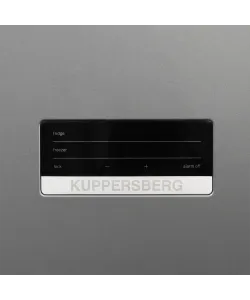 Freestanding refrigerator RFCN 2010 DX