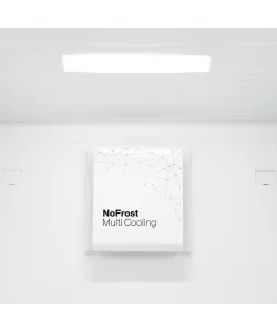 Built-in refrigerator RBN 1763